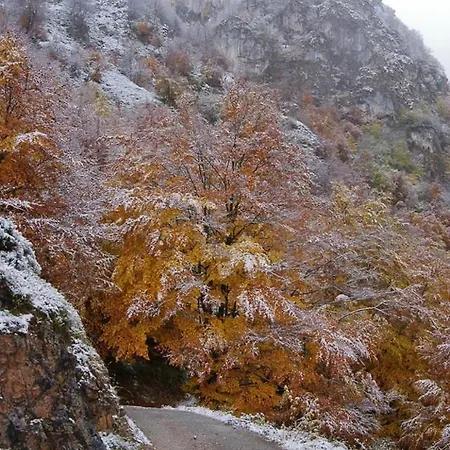 Rurales Casa Marcelo *