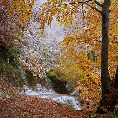 Apartmán Rurales Casa Marcelo Veigas