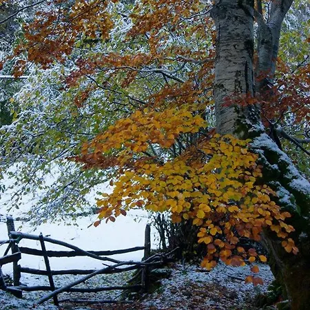 Rurales Casa Marcelo Veigas