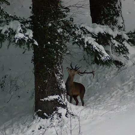 Rurales Casa Marcelo Veigas