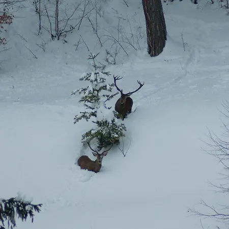 Apartmán Rurales Casa Marcelo Veigas