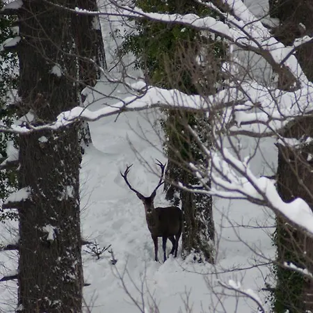Apartmán Rurales Casa Marcelo Veigas