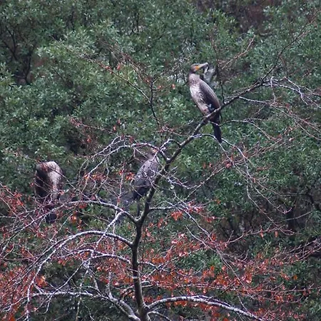 Apartmán Rurales Casa Marcelo *