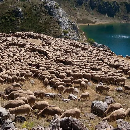 Apartmán Rurales Casa Marcelo